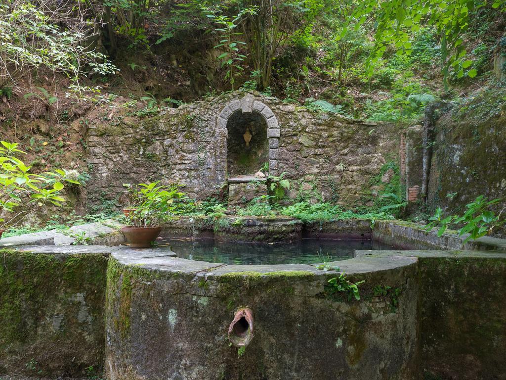 Agriturismo Le Fontanacce بيسيا المظهر الخارجي الصورة